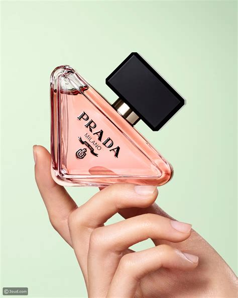 macy's perfume prada|prada paradox perfumes for women.